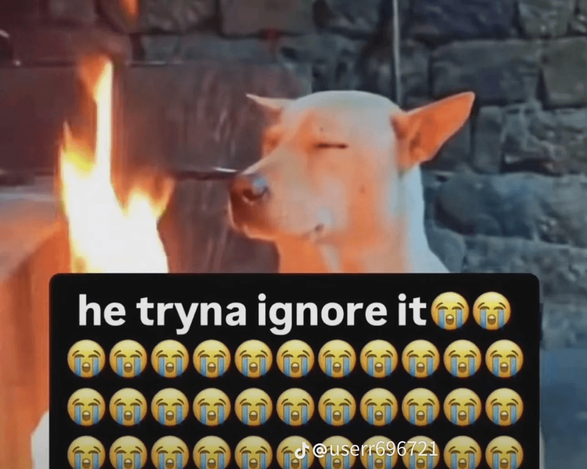 He Tryna Ignore It