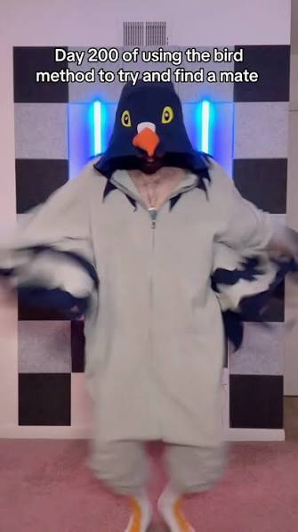 A vertical social-media post referencing the bird dance