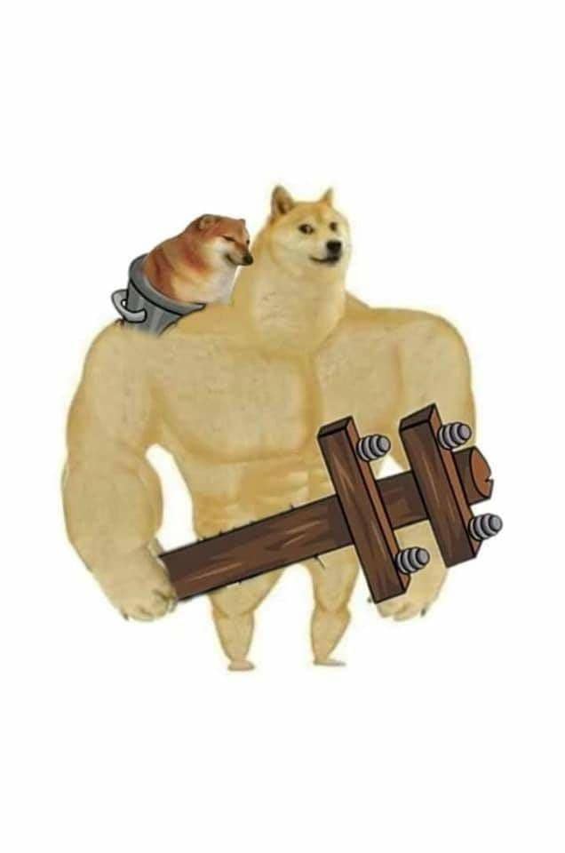 Buff Doge vs. Cheems meme variation — example 3