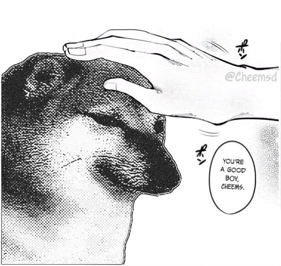 A Cheems meme variation featuring Balltze the Shiba Inu — example 2
