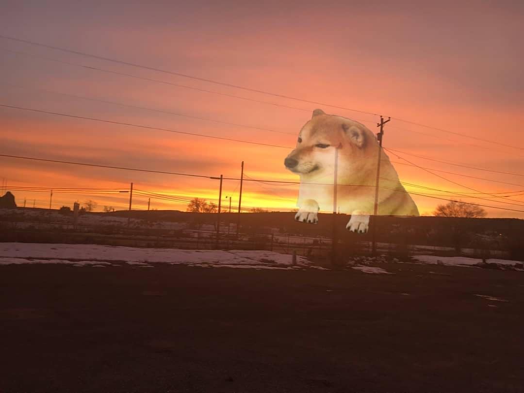 A Cheems meme variation featuring Balltze the Shiba Inu — example 6