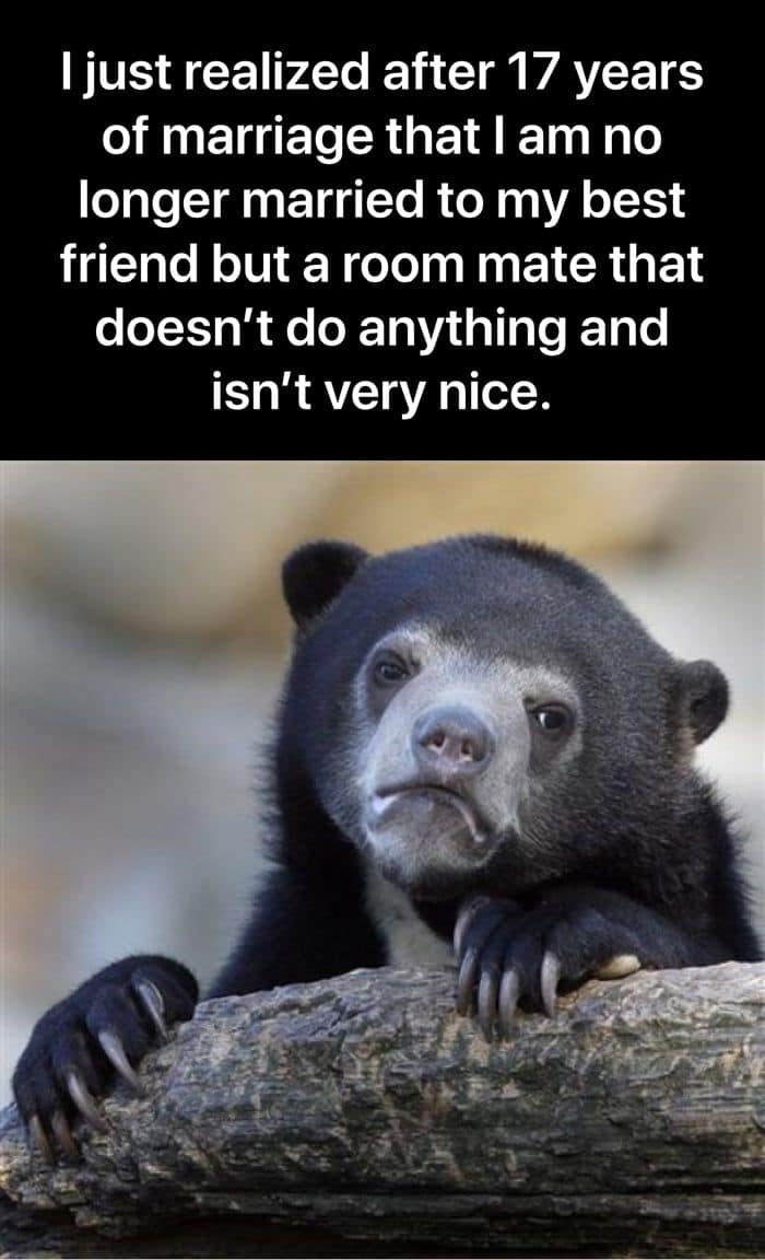 A Confession Bear advice-animal image macro — example 3