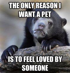 Confession Bear