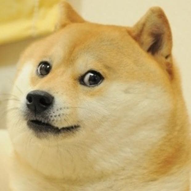 Doge Shiba Inu meme based on Kabosu