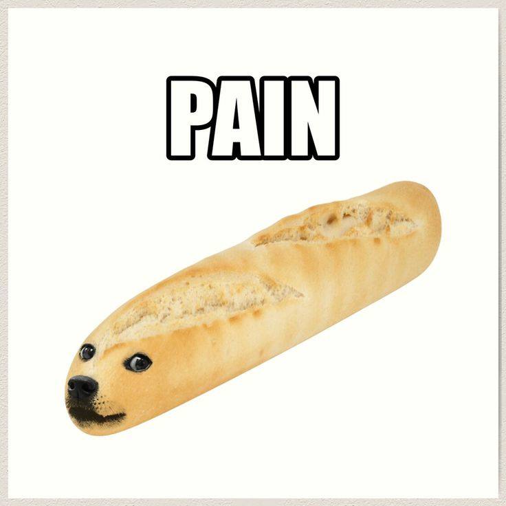 A Doge meme or remix based on the Shiba Inu format — example 2