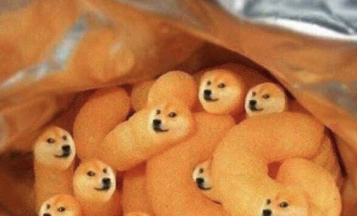 A Doge meme or remix based on the Shiba Inu format — example 5