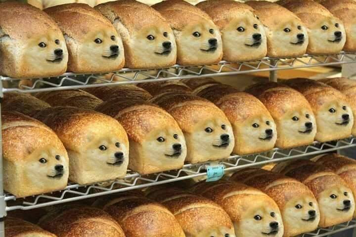 A Doge meme or remix based on the Shiba Inu format — example 6