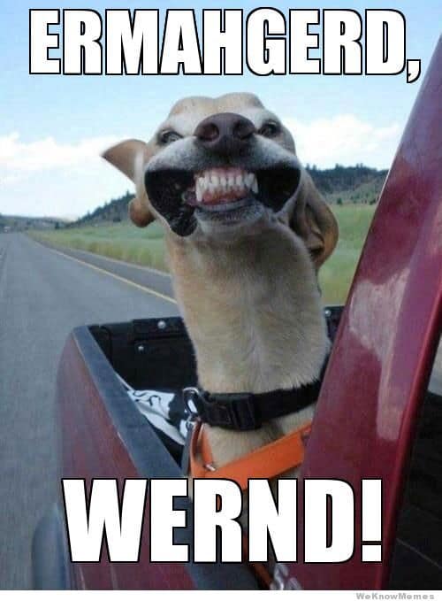 Ermahgerd meme variation — example 2