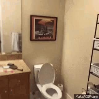 A toilet, bathroom counter, framed wall art, and shelving in a bathroom, shown in a GIF frame.