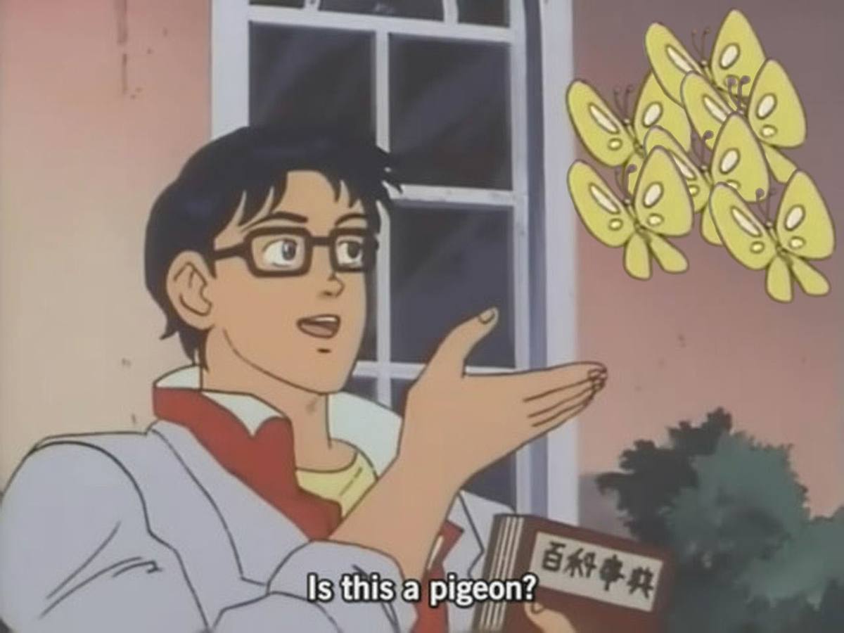 Is This a Pigeon?