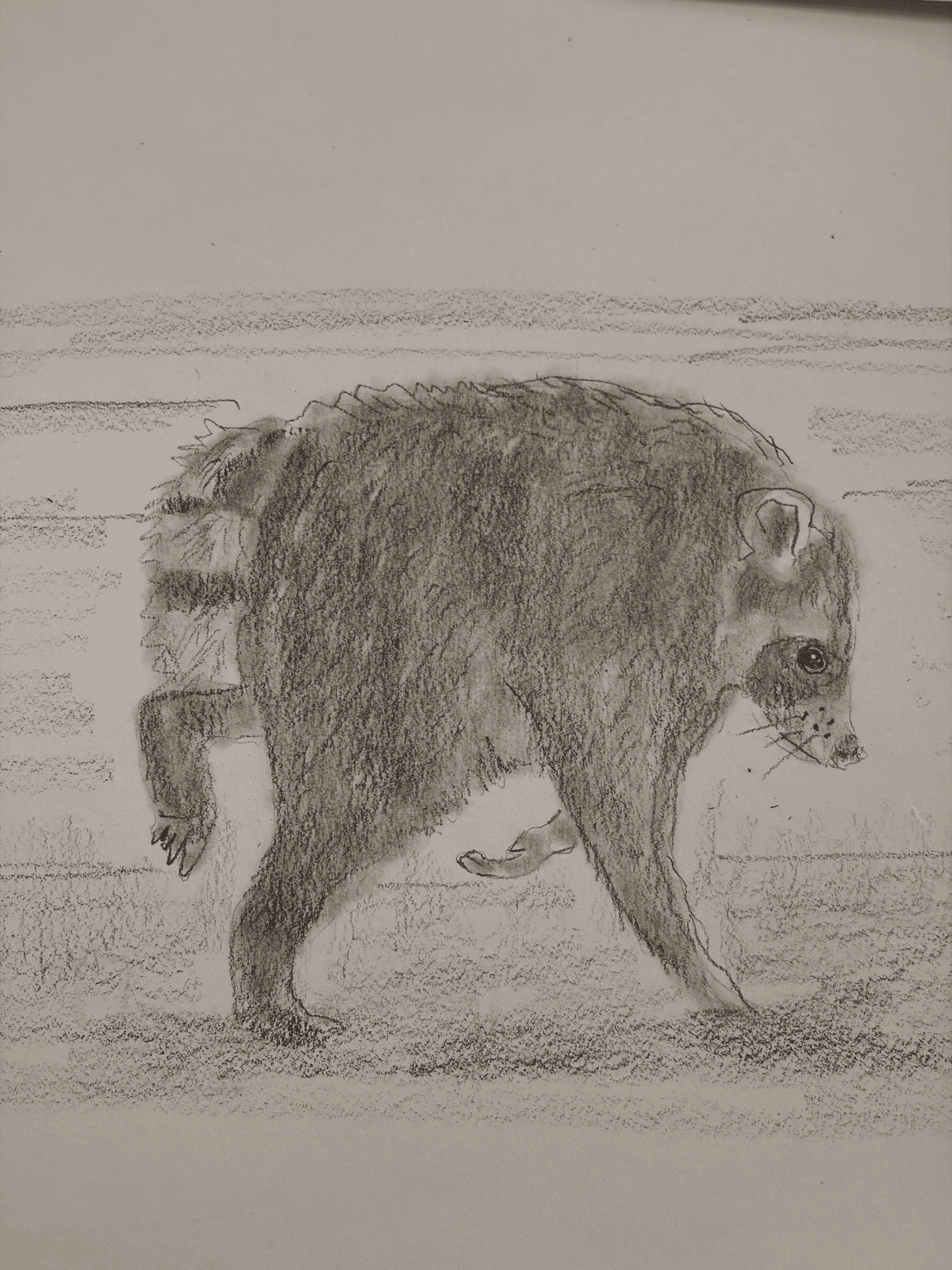 Pencil drawing of Jimothy's distinctive walking posture