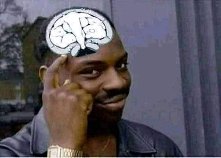 Roll Safe con un cerebro ilustrado sobre la cabeza
