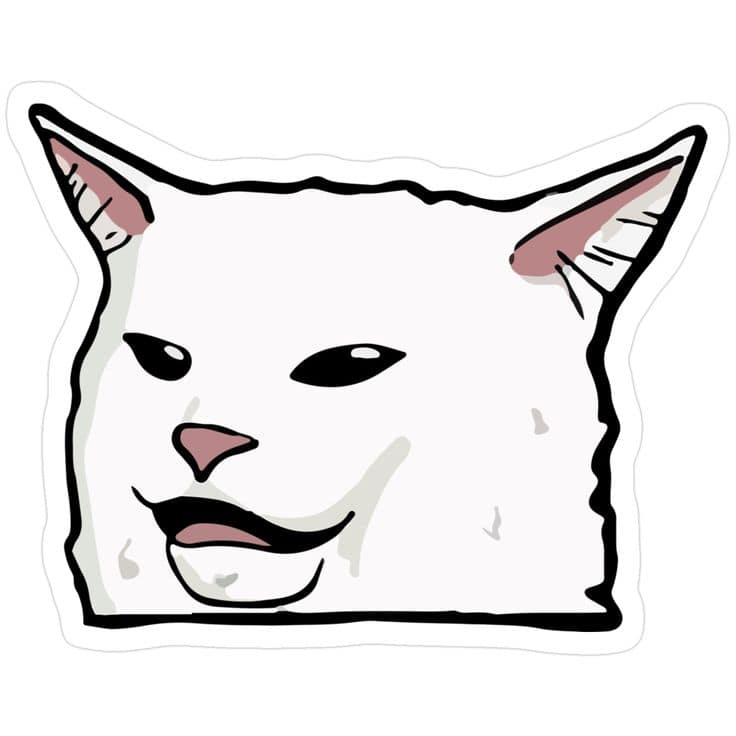 Cartoon drawing of Smudge's skeptical face