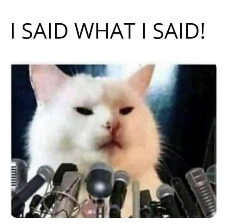 Smudge the Cat facing a row of press microphones