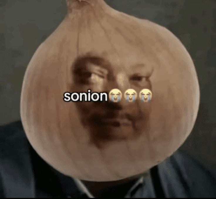 Anthony Mackie’s altered smirking face placed inside an onion for the Sonion meme