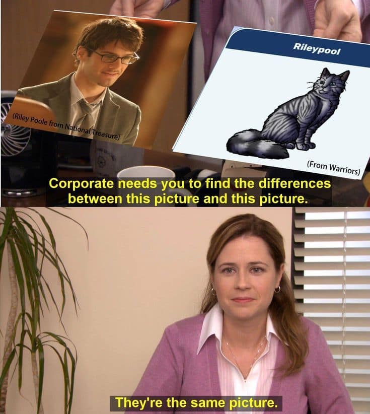 They're the Same Picture example 4: Pam Beesly holding two identical photos above the line They're the same picture