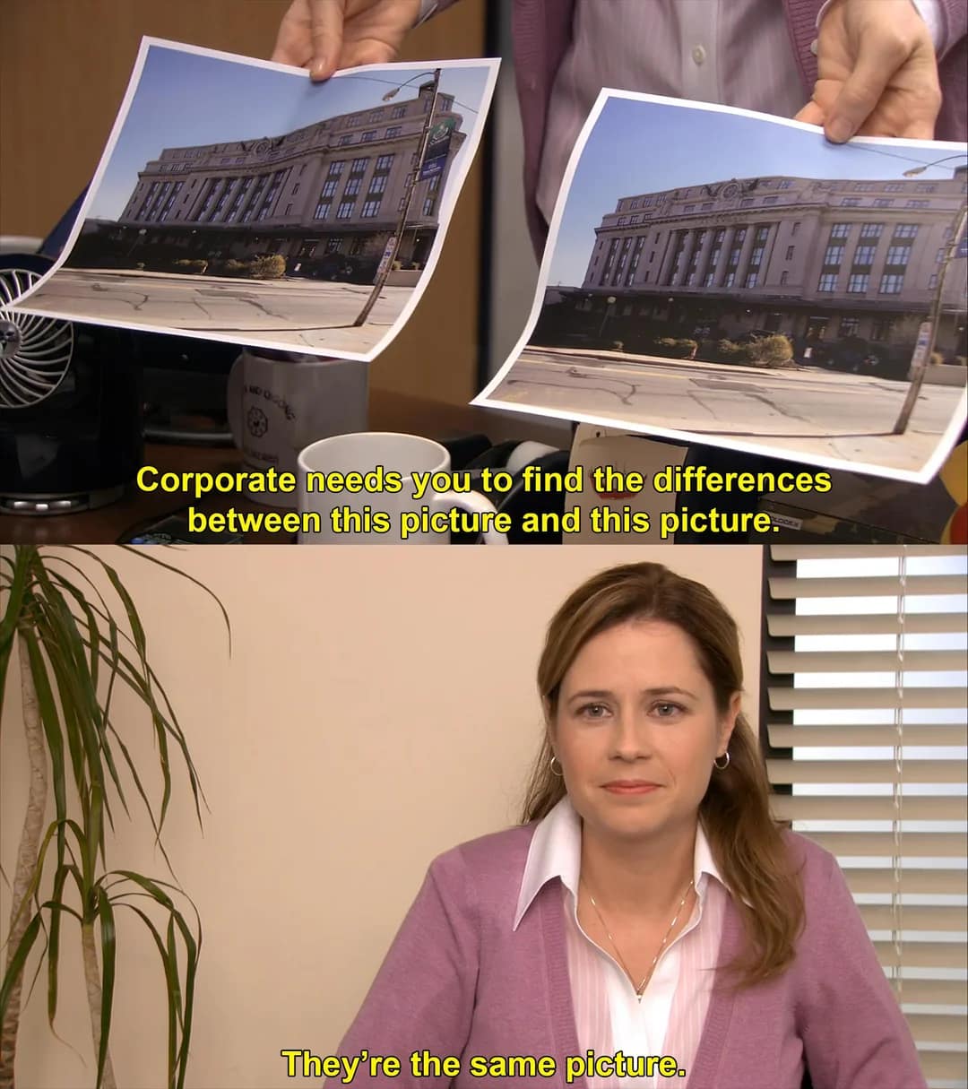 Pam Beesly holding two identical photos above the line They're the same picture