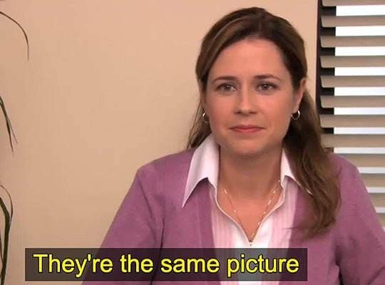 They're the Same Picture example 1: Pam Beesly holding two identical photos above the line They're the same picture