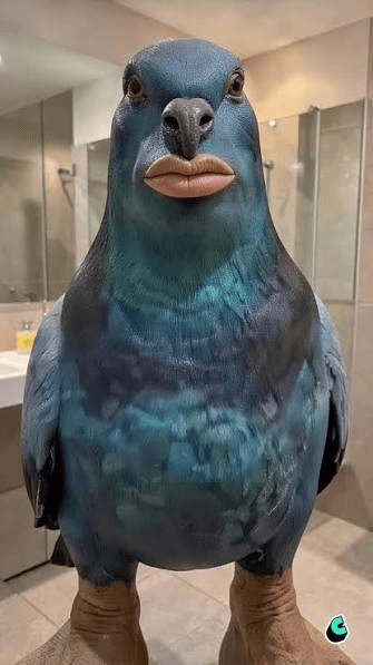 Blue AI-generated pigeon with human-like lips standing in a bathroom
