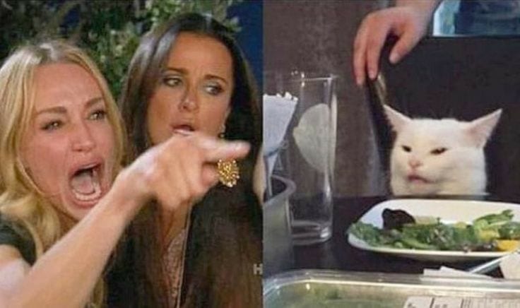 Woman Yelling at a Cat meme with Smudge beside a salad