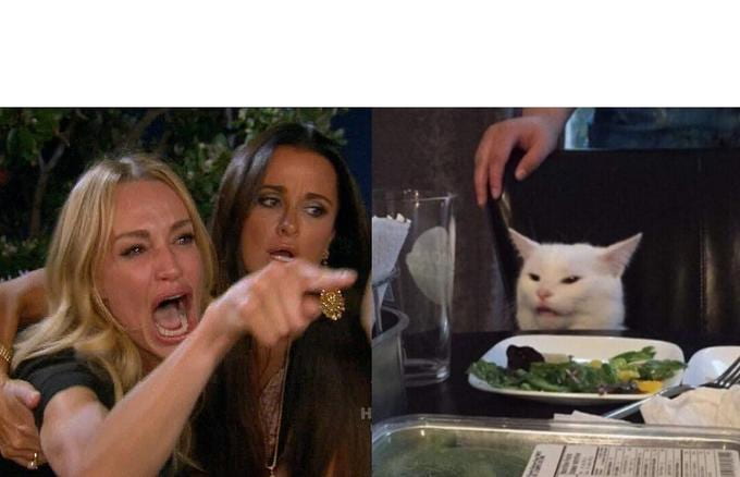 Woman Yelling at Cat two-panel meme with Taylor Armstrong and Smudge