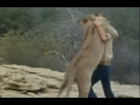 A lion rises against a person in an embrace on rocky ground, with trees in the background.
