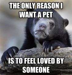 Confession Bear