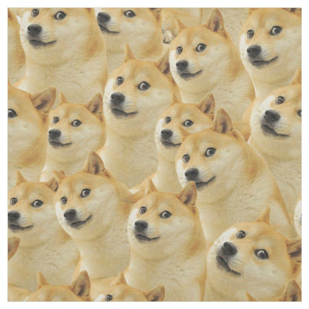 A Doge meme or remix based on the Shiba Inu format — example 3