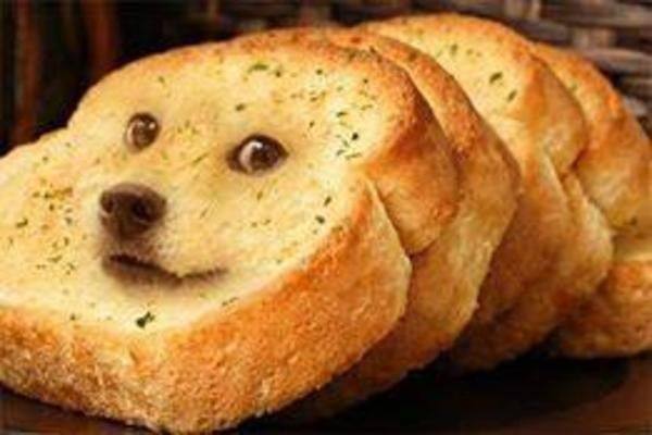 A Doge meme or remix based on the Shiba Inu format — example 4