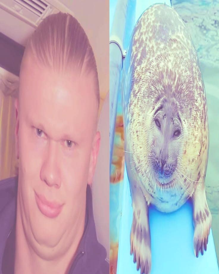 Fan art combining Erling Haaland and Majin Buu — example 3