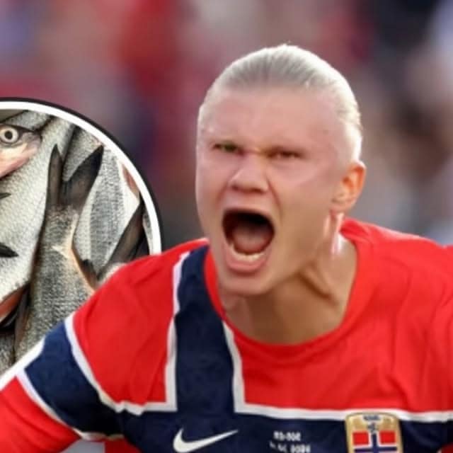 Fan art combining Erling Haaland and Majin Buu — example 4
