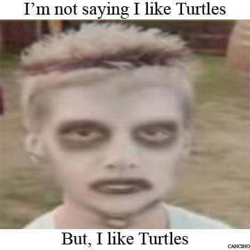 A close-up of the zombie-painted boy is captioned “I’m not saying I like Turtles” above and “But, I like Turtles” below.