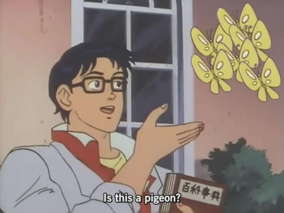 Is This a Pigeon?