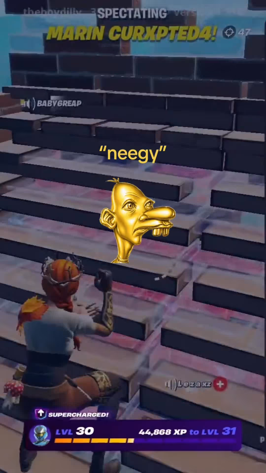 Neegy Meme